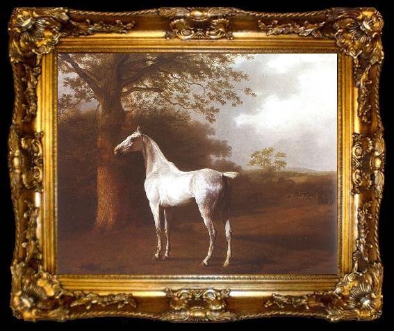 framed  Jacques-Laurent Agasse White Horse in Pasture, ta009-2